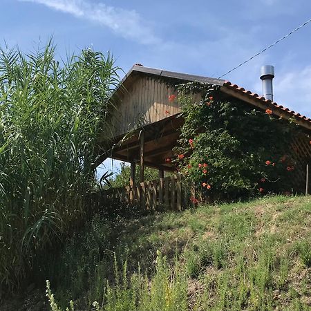 Casa Vesta Panzió Castilenti Kültér fotó