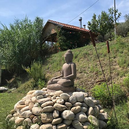 Casa Vesta Panzió Castilenti Kültér fotó