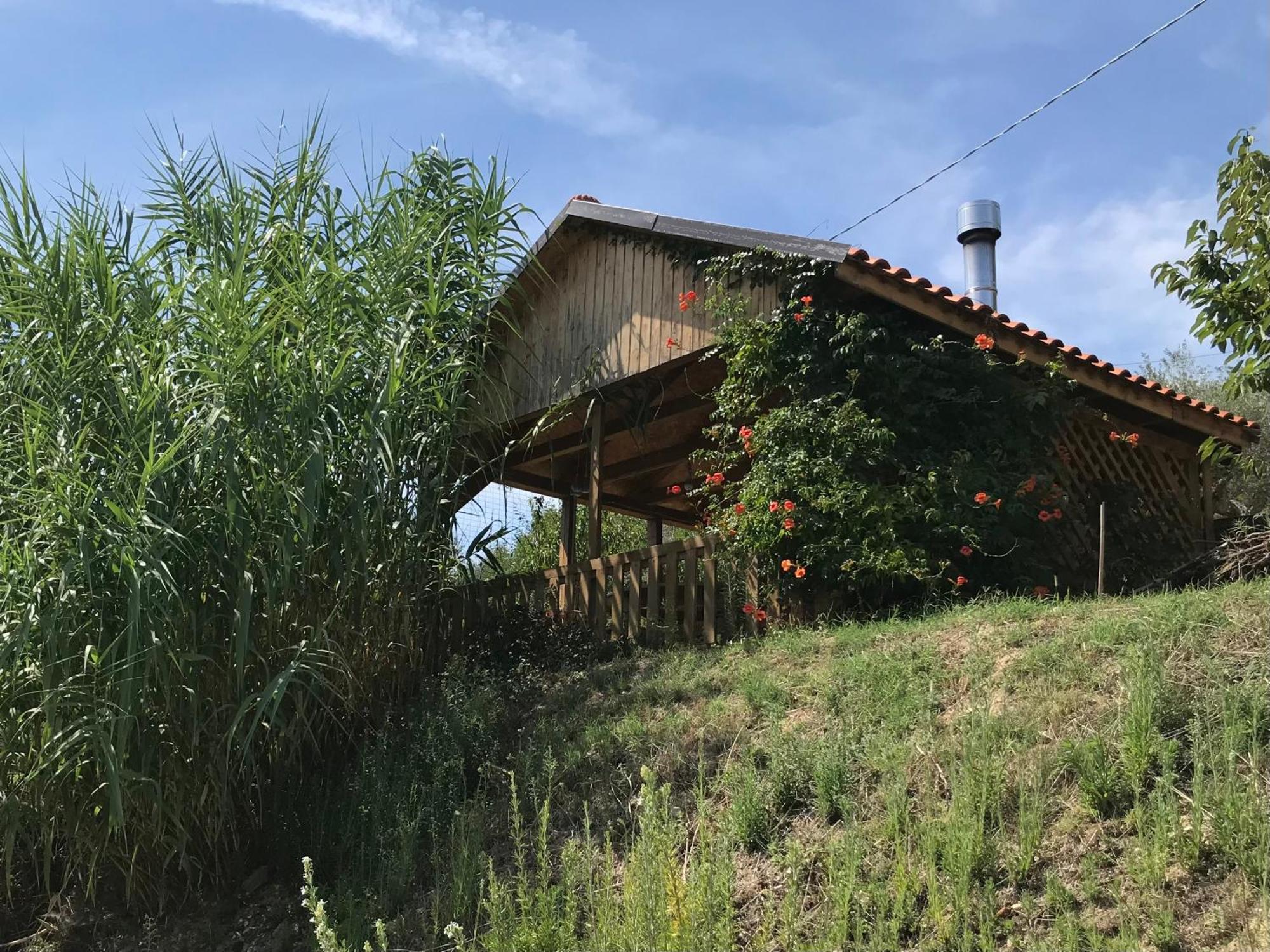 Casa Vesta Panzió Castilenti Kültér fotó